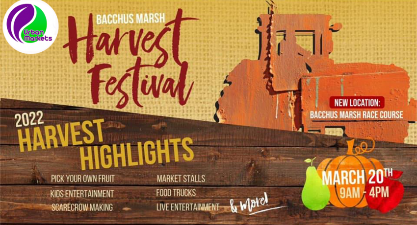 Harvest Festival Banner 